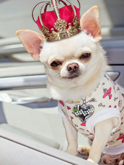 Royal Pup