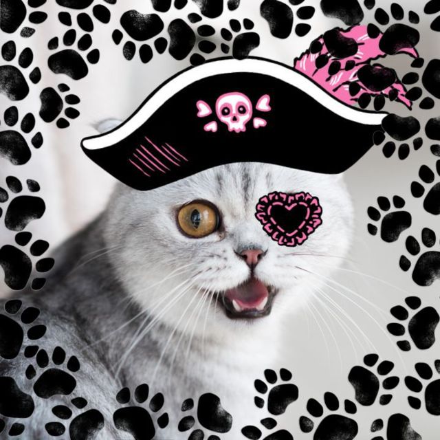 Captain Purr